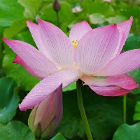 制定篮球交流计划以促进个人技能发展的方法_2